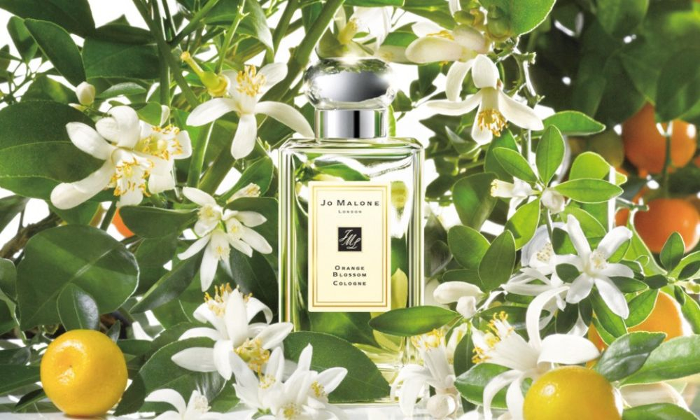 Orange Blossom dupe by Jo Malone, 4 amazing colognes with similar scent