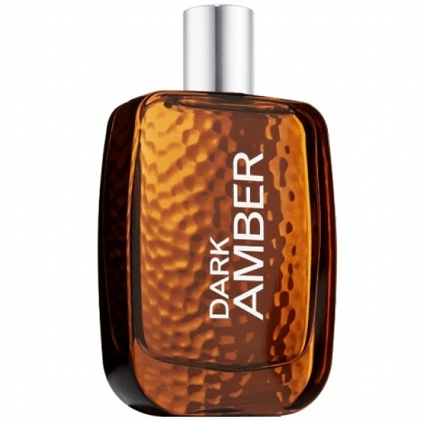 bath and body works dark amber cologne